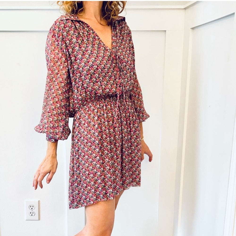 NWT Zadig & Voltaire Rose‎ Skull Dress Large Reevas Mousseline